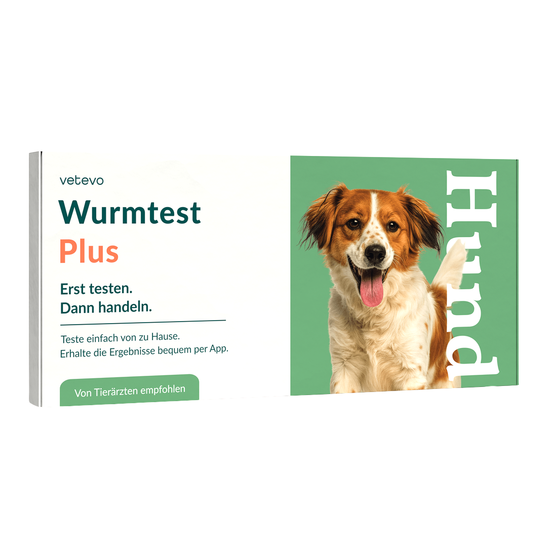 Wormtest Plus Hond 