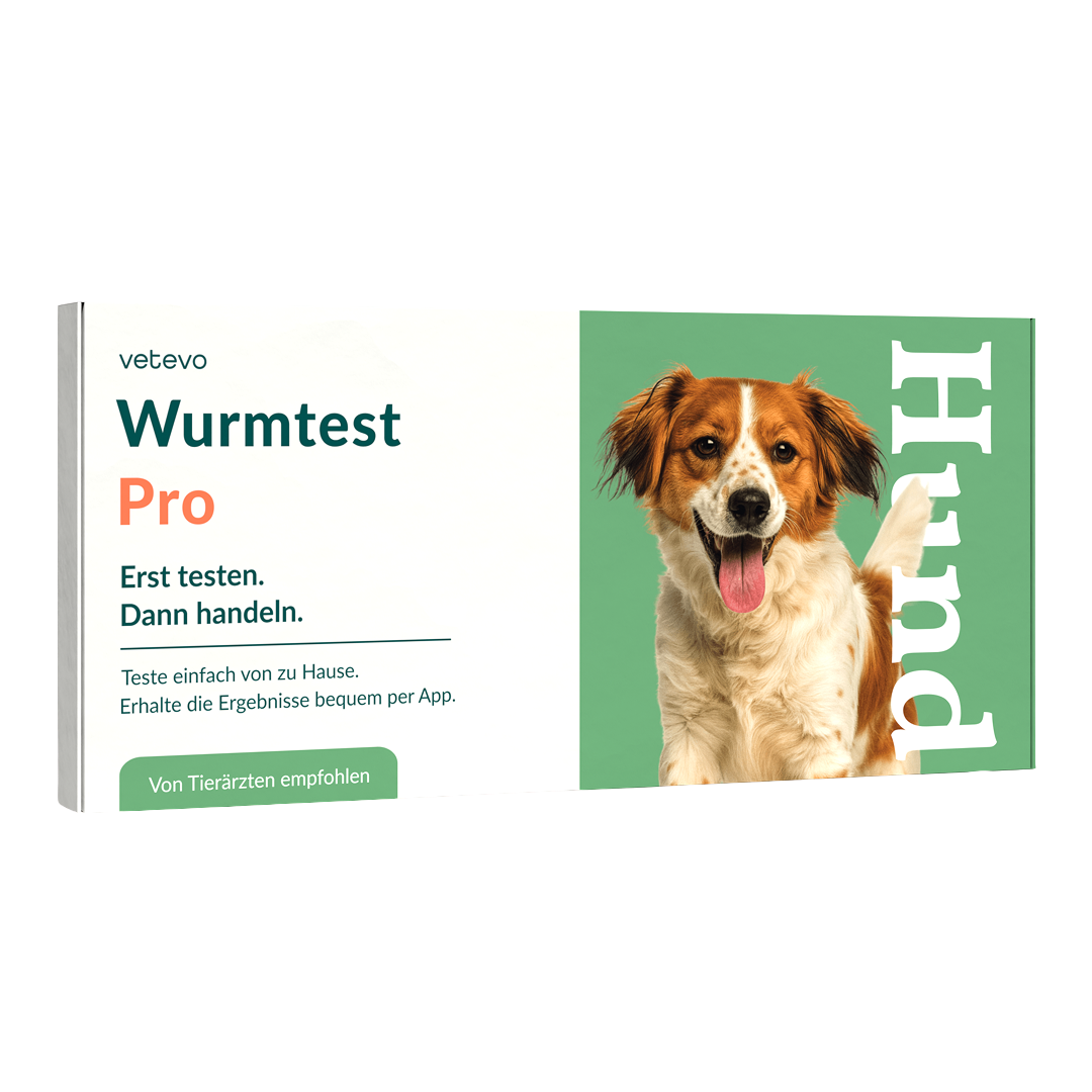 Wormtest Pro Hond 