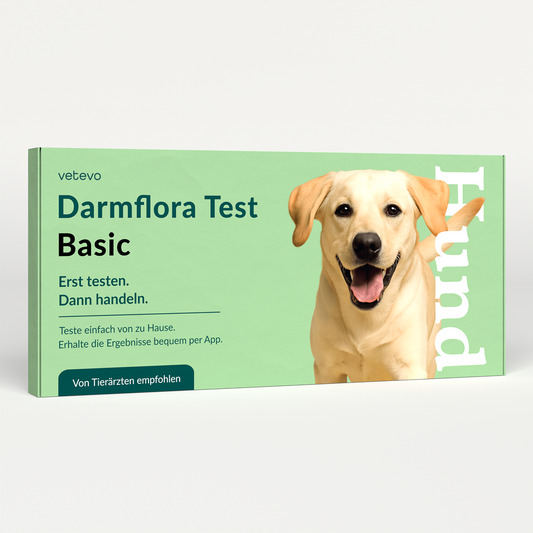 Darmflora Test Hond 
