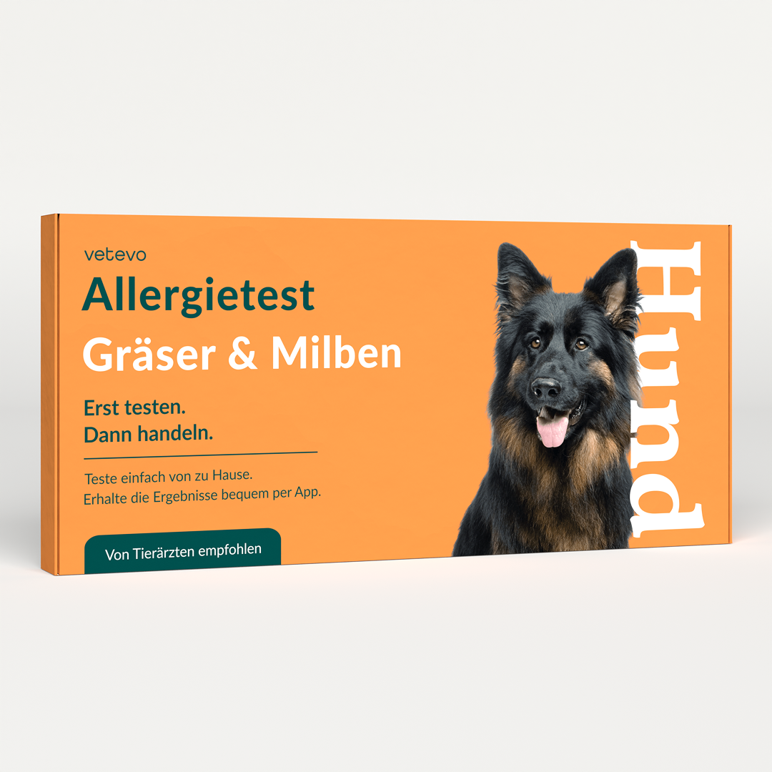 Allergietest - grassen, mijten & co. Hond