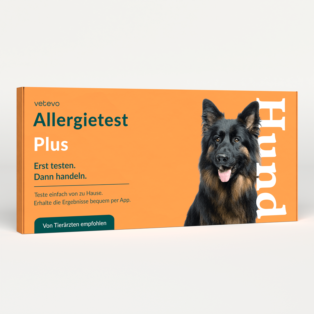 Allergietest Plus Hond 
