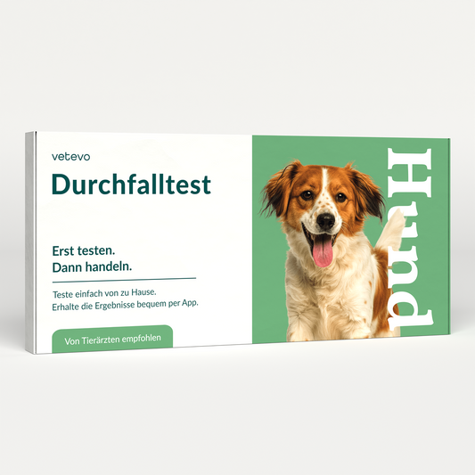 Diarréetest hond 