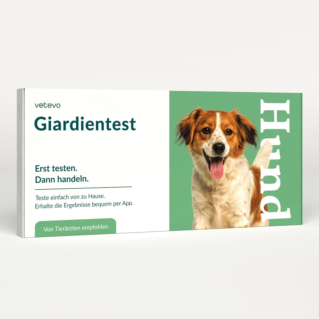 Giardiatest hond 