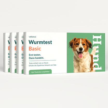 Wormtest Basic Hond Voordeelpakket 