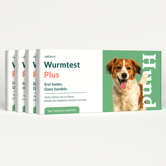 Wormtest Plus Hond Voordeelpakket 