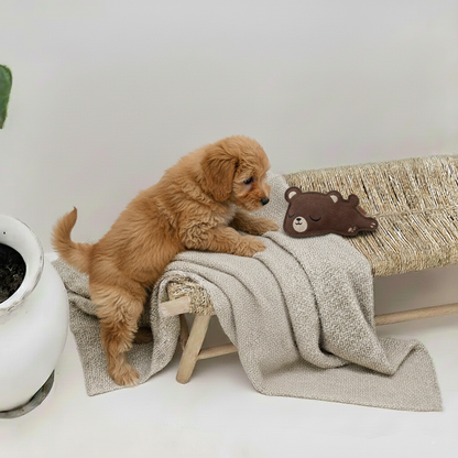 BUDDY. Hondenspeelgoed van leer "Kleine Beer" 