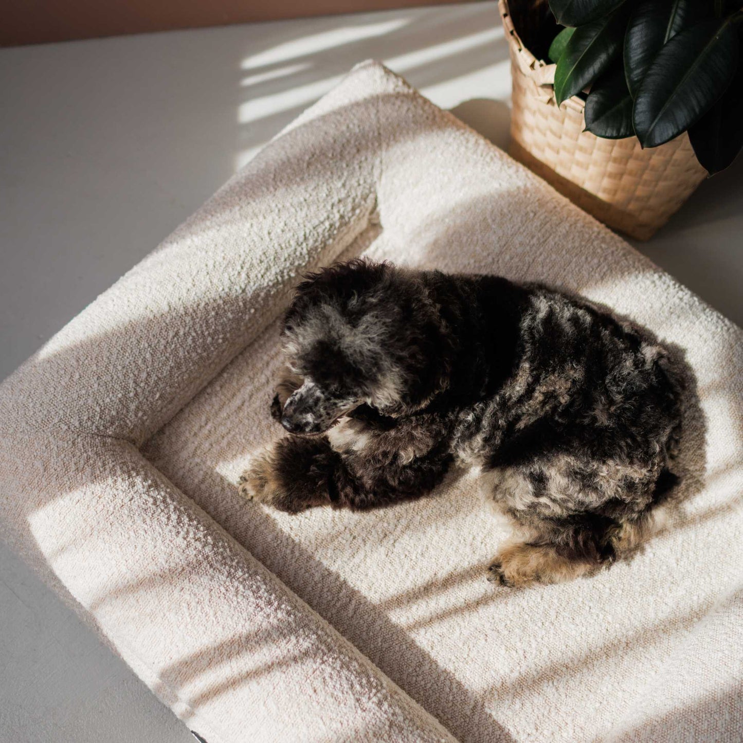 Hondenbed Barklay maat M met bouclékussen 