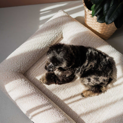 Hondenbed Barklay maat M met bouclékussen 