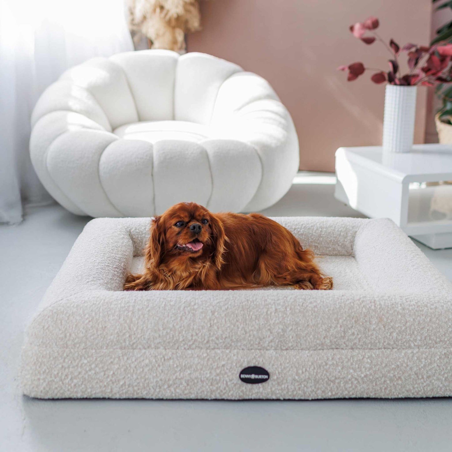 Hondenbed Barklay maat S met Bouclé hoes 