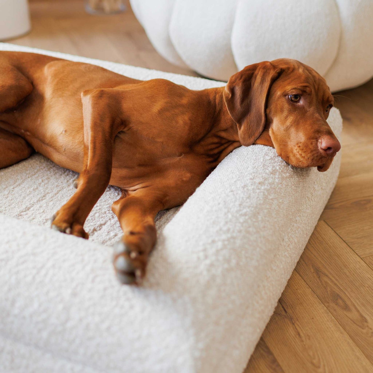 Hondenbed Barklay maat L met bouclékussenhoes 