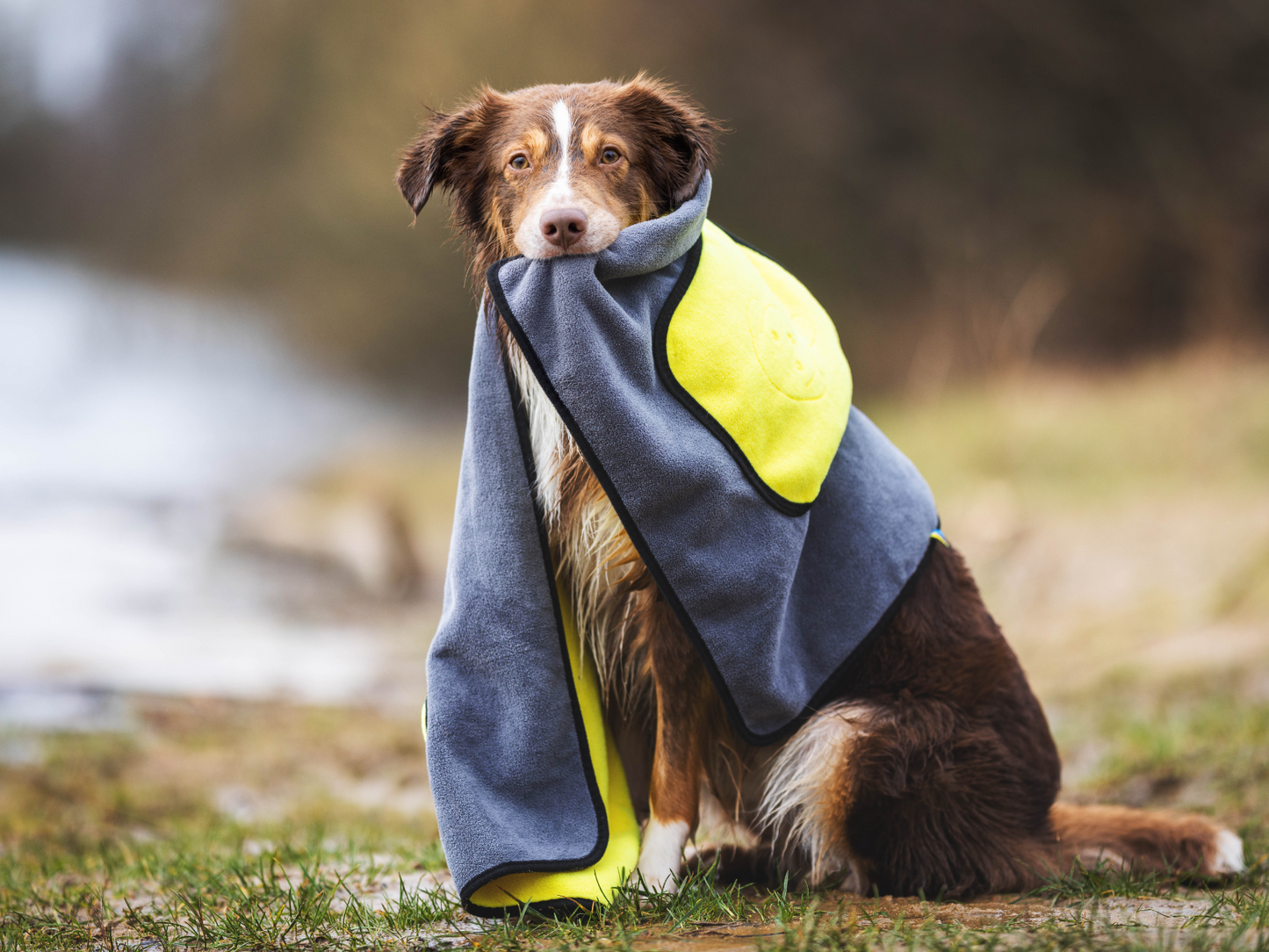 Handdoek BUDDY voor honden 