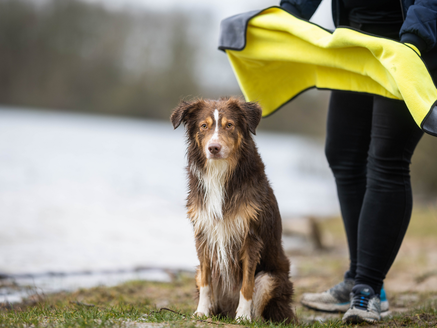 Handdoek BUDDY voor honden 