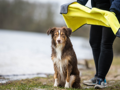 Handdoek BUDDY voor honden 