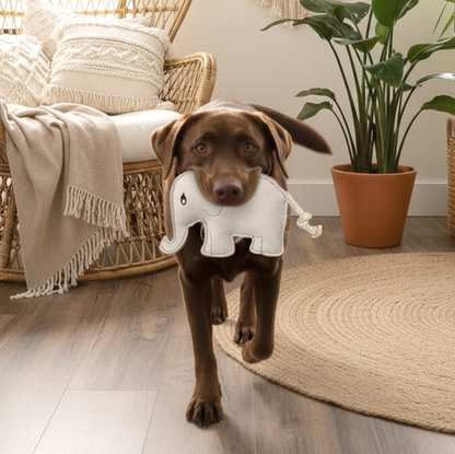 BUDDY. Hondenspeelgoed van leer "Olifant" 