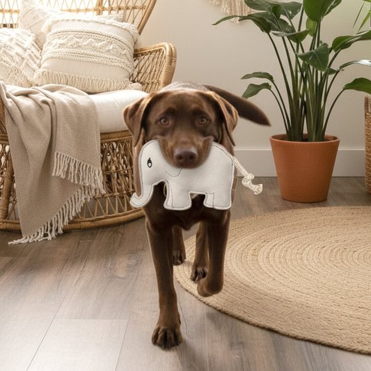 BUDDY. Hondenspeelgoed van leer "Olifant" 