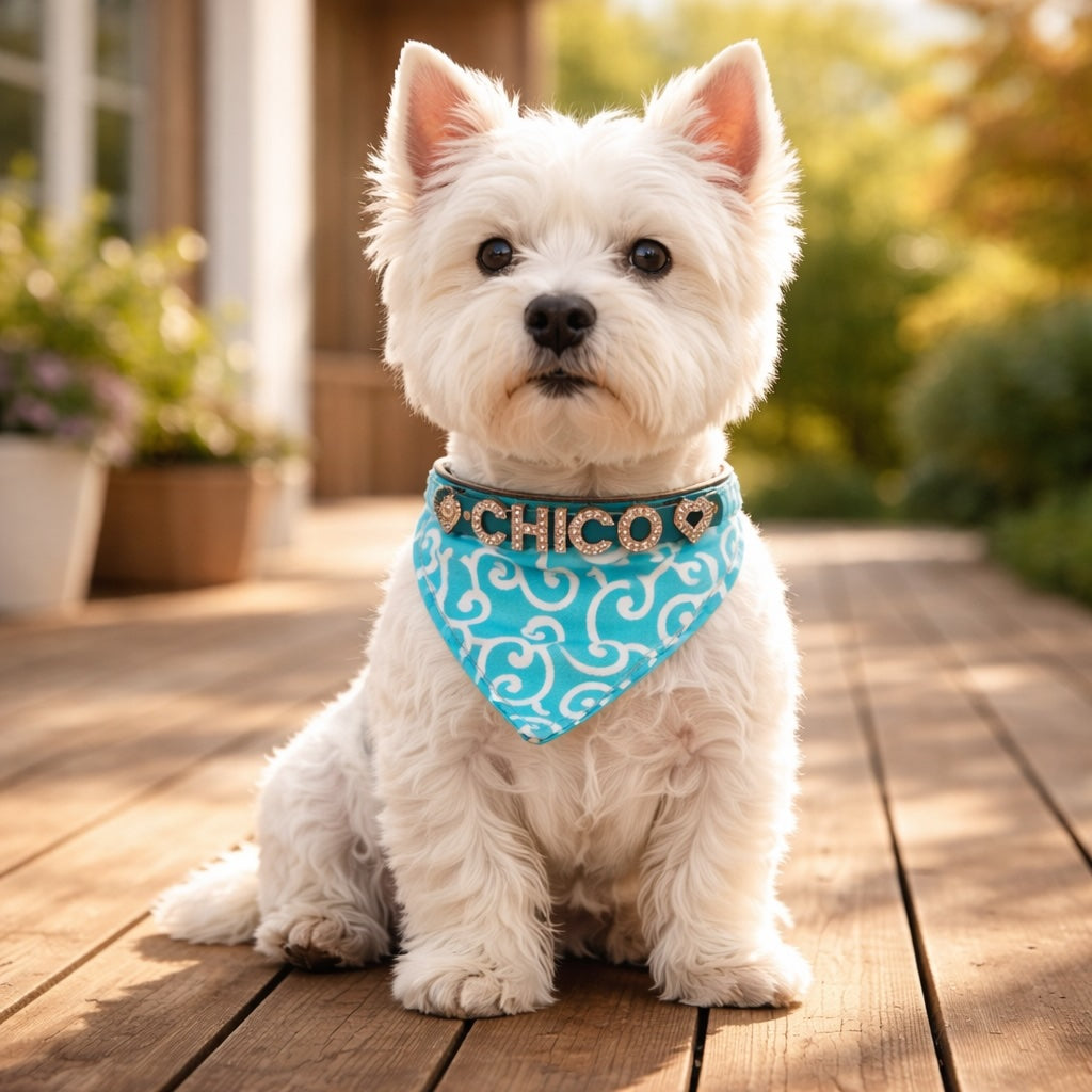 Hondenbandana met naam en hondenhalsband van echt leer. Versierd met glitterende strass-letters