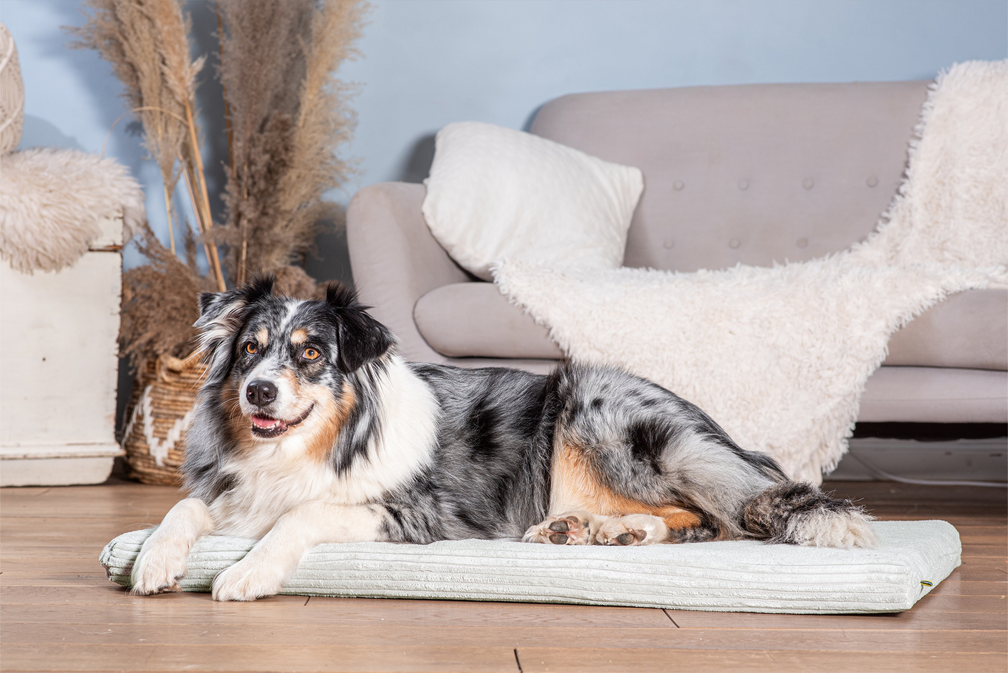 Hondenligmat JOKKMOKK Cord 