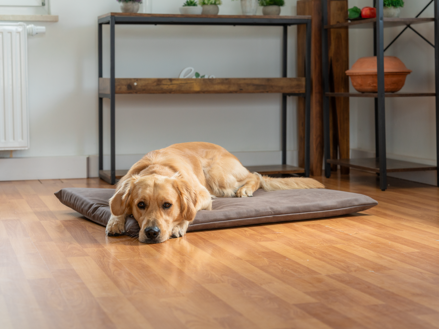 Bekleding voor JOKKMOKK veganistisch wildleer 