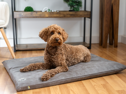 Hondenligmat JOKKMOKK veganistisch wildleer 