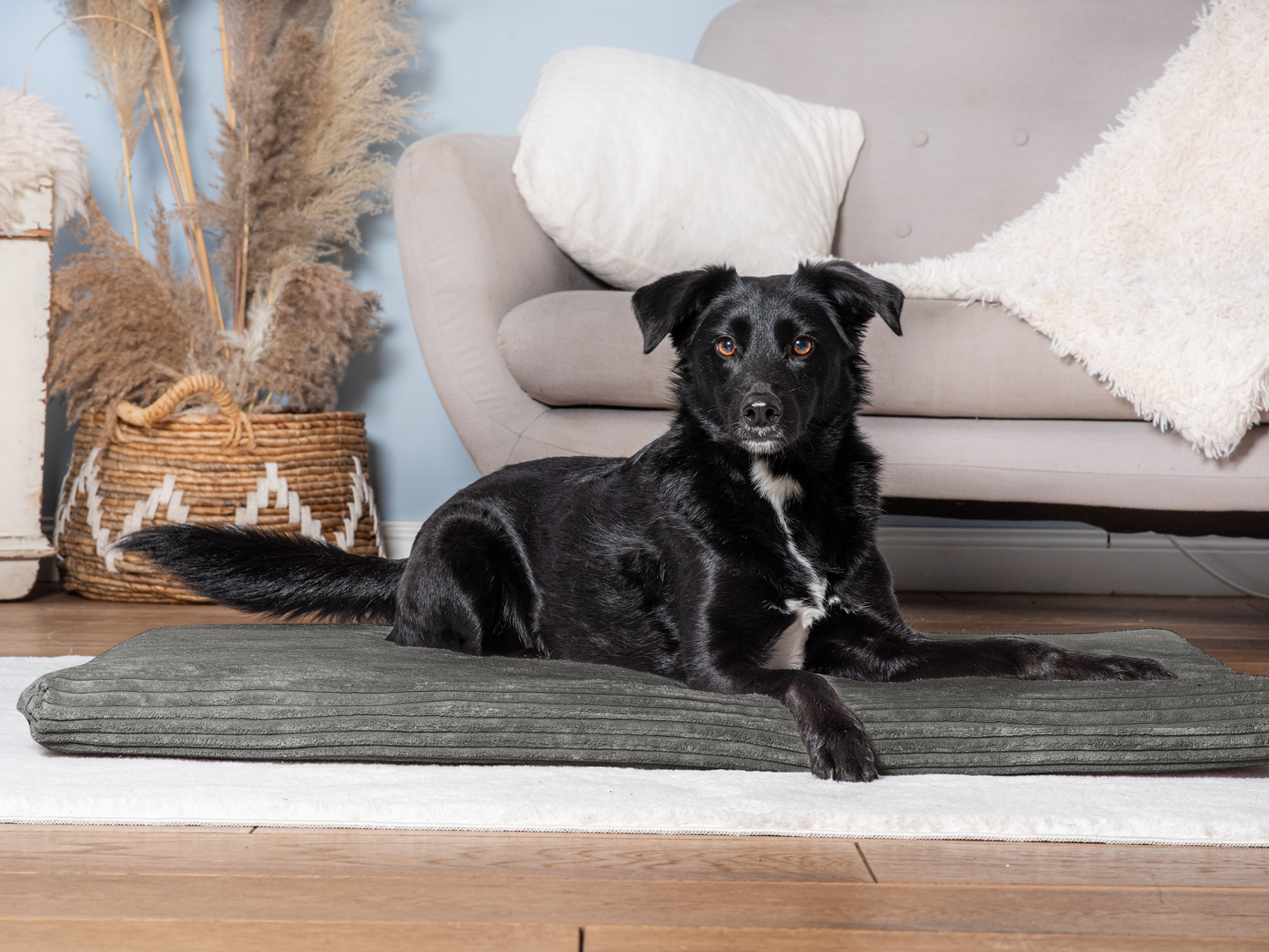 Hondenligmat JOKKMOKK Cord 