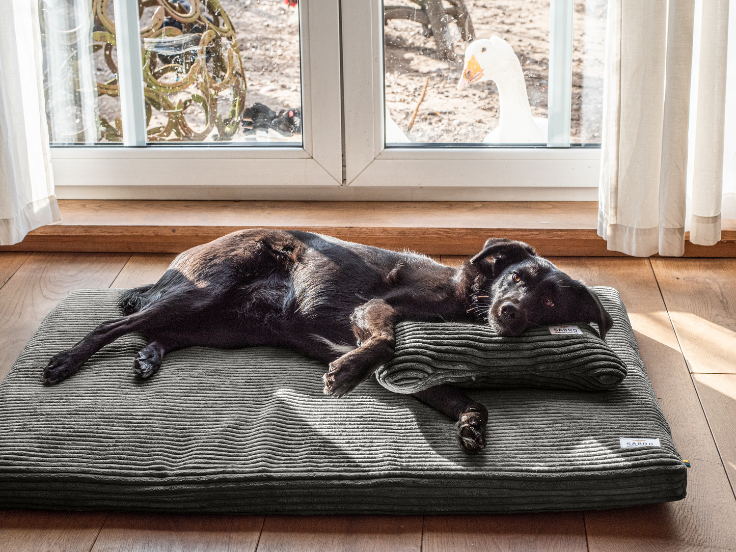 Hondenligmat JOKKMOKK Cord 