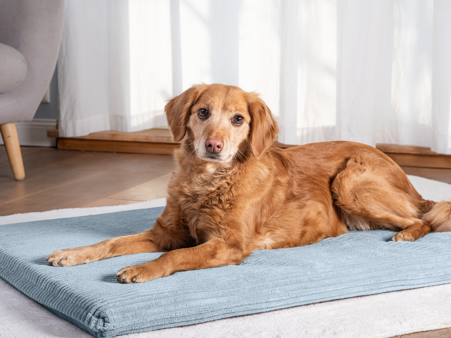 Hondenligmat JOKKMOKK Cord 