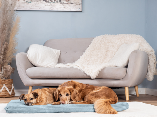 Hondenligmat JOKKMOKK Cord 