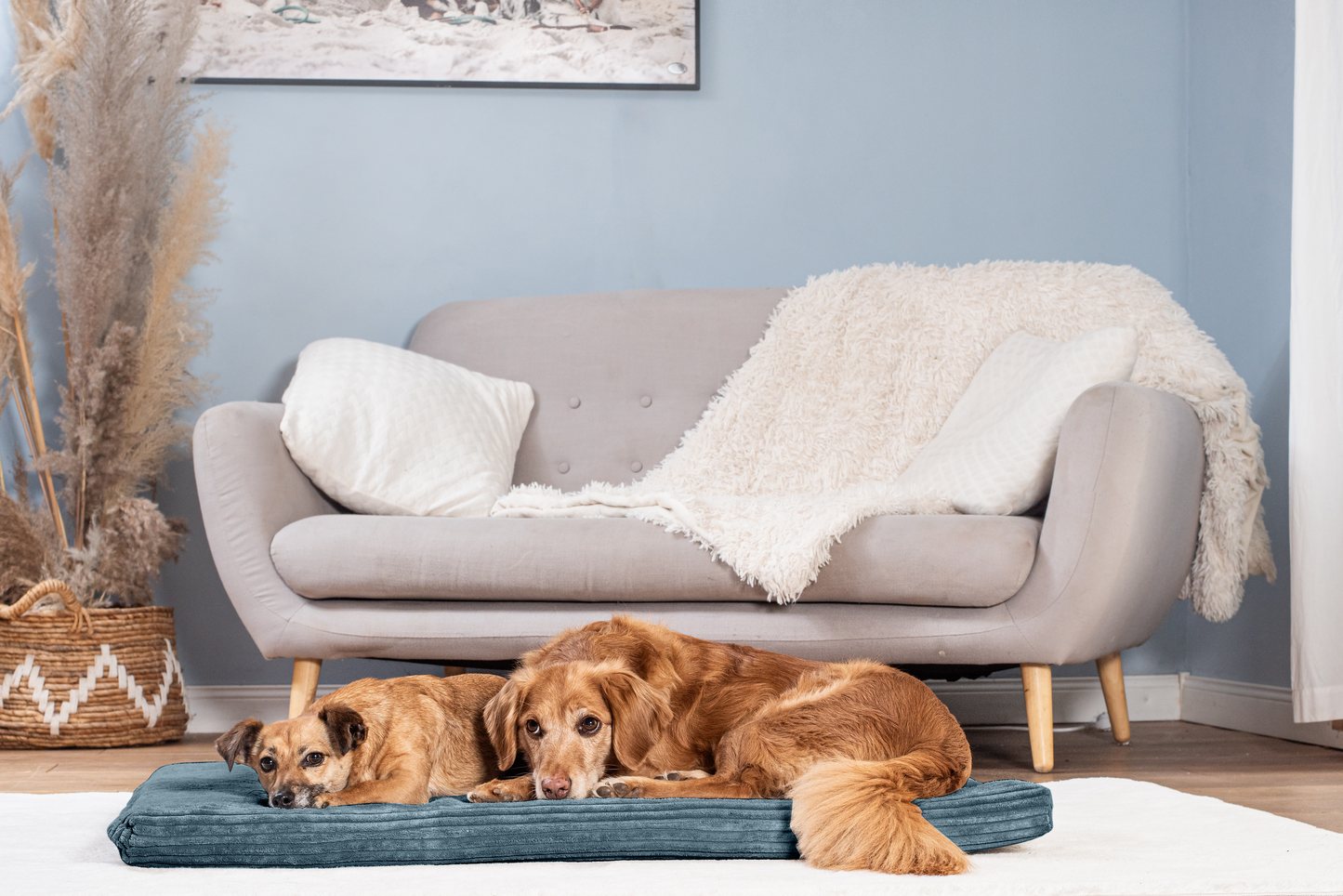 Hondenligmat JOKKMOKK Cord 