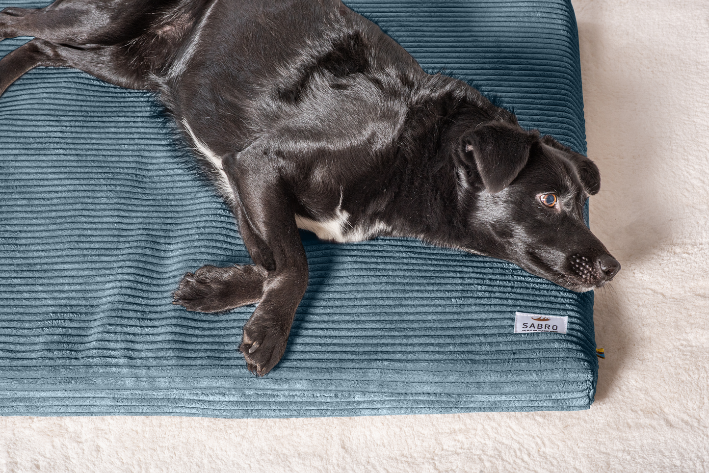 Hondenligmat JOKKMOKK Cord 