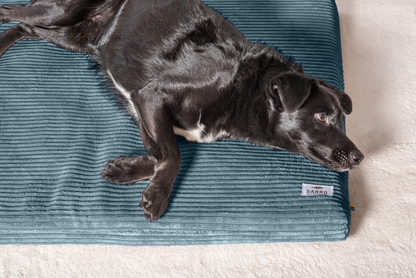 Hondenligmat JOKKMOKK Cord 