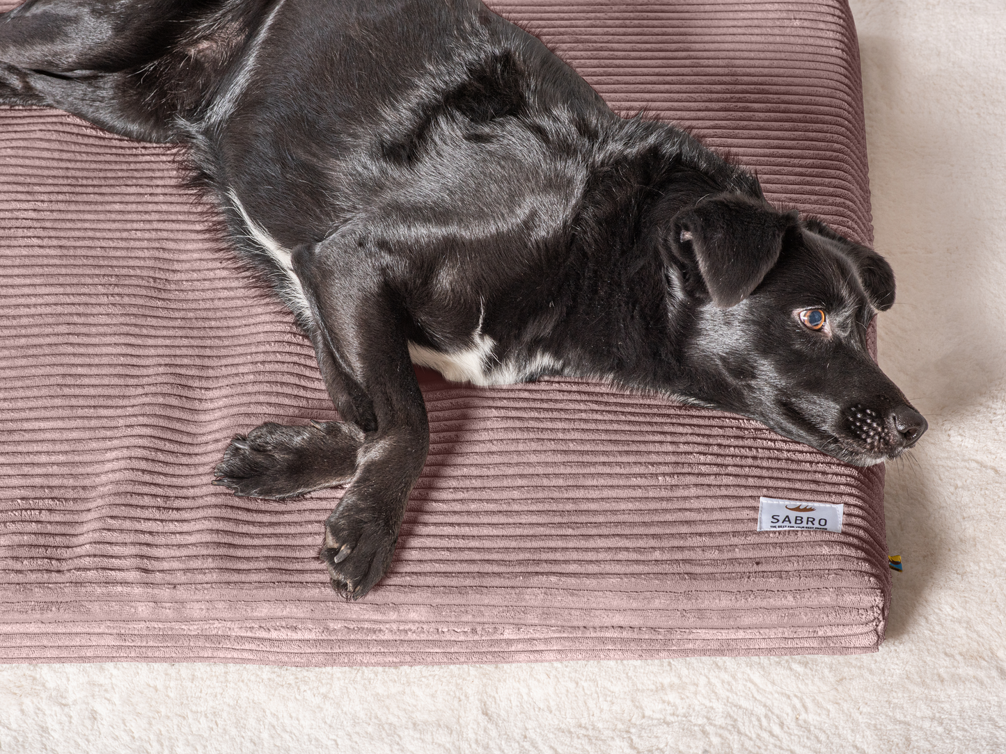 Hondenligmat JOKKMOKK Cord 