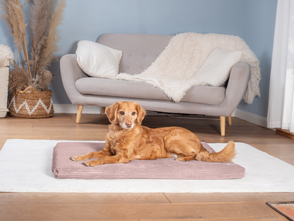 Hondenligmat JOKKMOKK Cord 