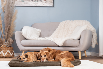 Hondenligmat JOKKMOKK Cord 