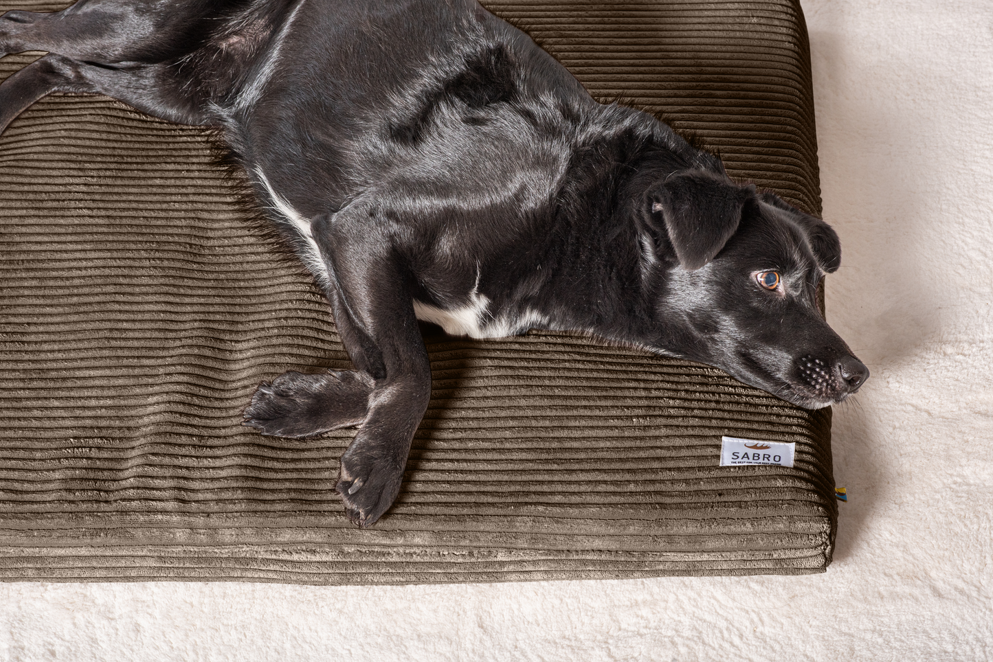 Hondenligmat JOKKMOKK Cord 