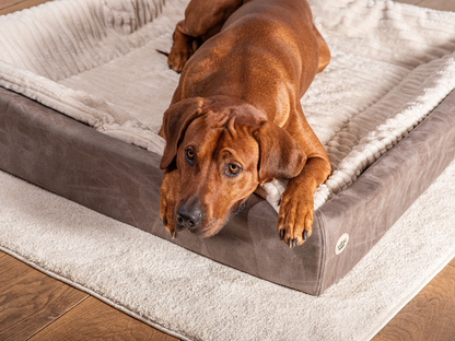 Hondenbed KUDDE veganistisch suède 