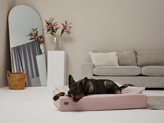 Hondenbed KUDDE Pastel Kunstleer 