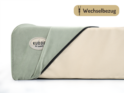 Hoes voor KUSSEN Fluweel 