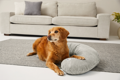 SCHMUSEHÖRNCHEN Cord 