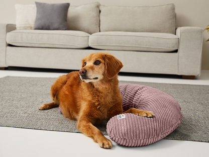 SCHMUSEHÖRNCHEN Cord 