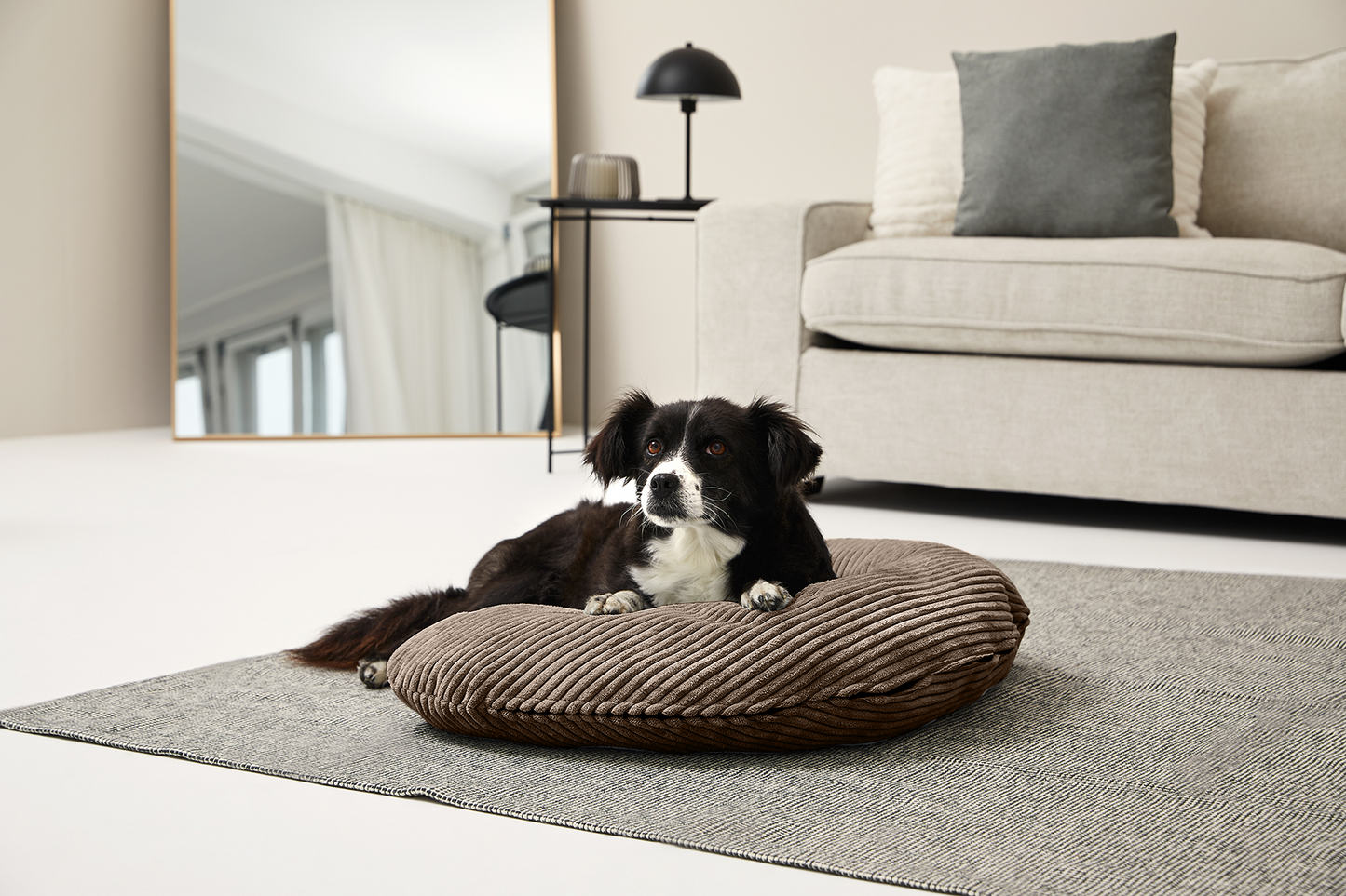 SCHMUSEHÖRNCHEN Cord 