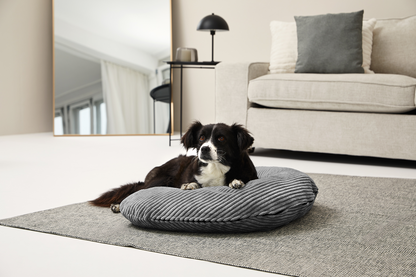 Hoes voor KNUFFELHOORNTJE Cord 