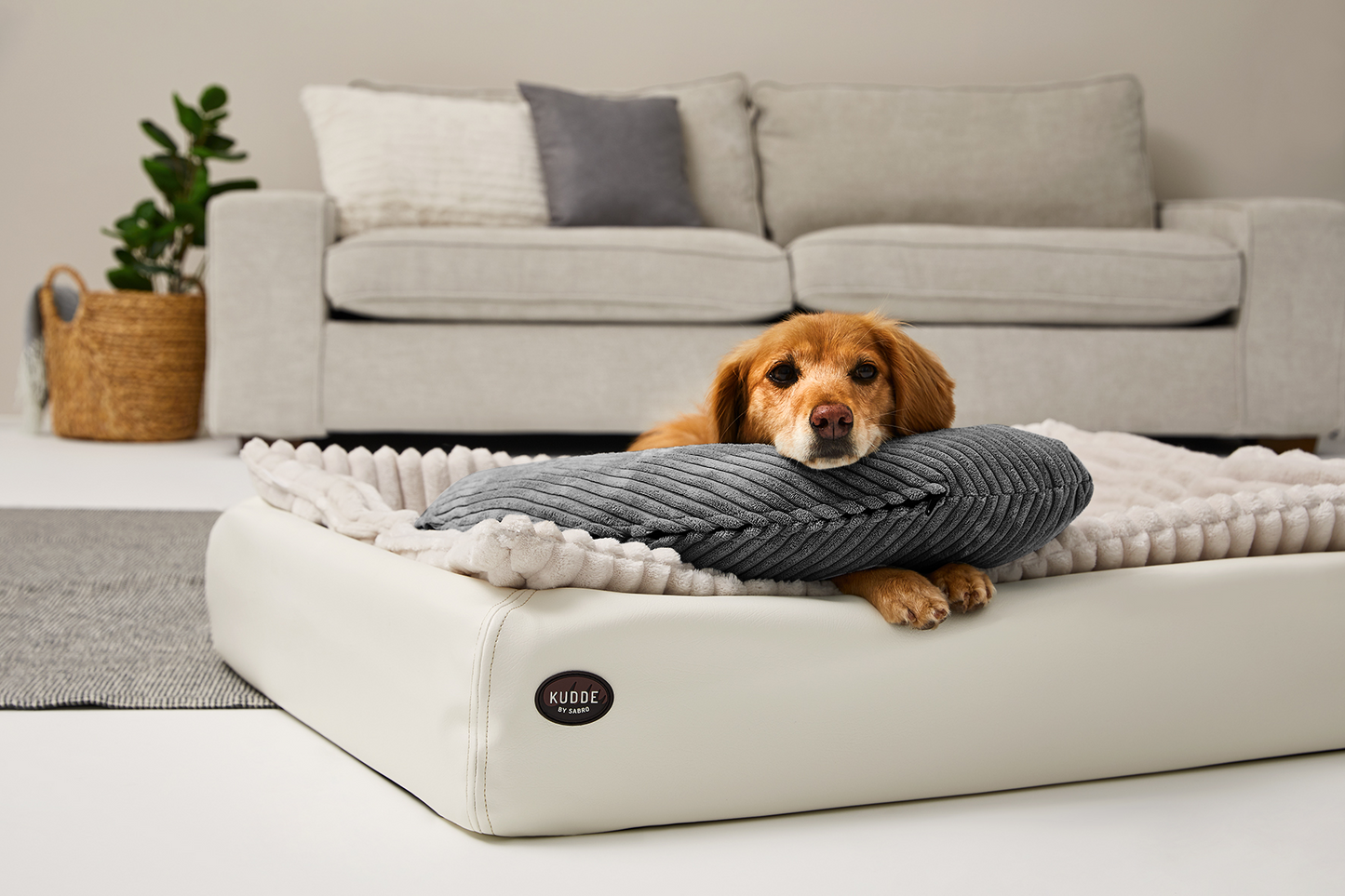 SCHMUSEHÖRNCHEN Cord 