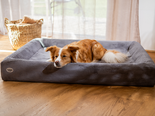 Hondenbed KUDDE Cord 