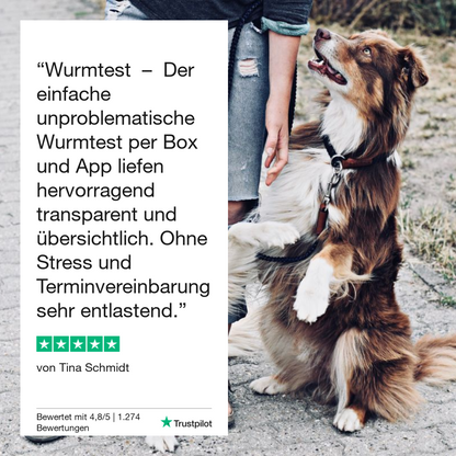 Diarréetest hond 