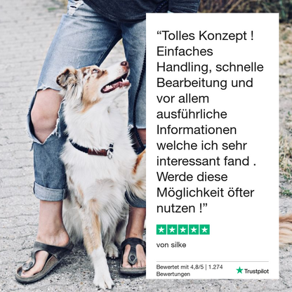 Giardiatest hond 