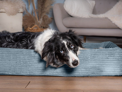 Bezug für KUDDE Cord