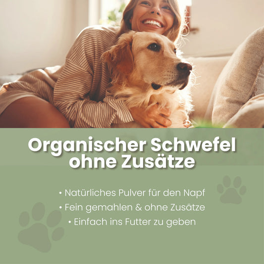 MSM Pulver für Hunde